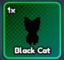 Black Cat | Anime Last Stand | Fast Delivery